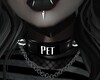 Pet Collar