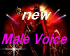 new male voice 2013