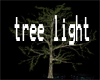 tree wind light