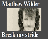 matthew wilder -break my