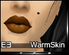 -e3- Warm Makeup 84