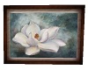 Magnolia Framed Picture