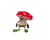 Ani Mushroom Pixie