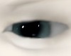 eyes M