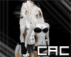 [C.A.C] Horse Cuddles