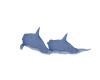 ** Harbor Dolphins