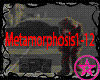 Metamorphosis Part 1