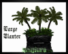 Large Planter/Zebra
