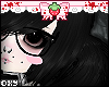 lanie II void