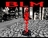 BLM model platform