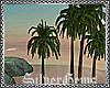 :SG: GROTTO PALM TREES 2