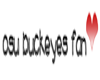 osu buckeyes fan