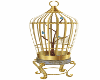 Animated Bird Cage