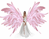 Beautiful Pink Wings