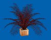 Charcoal Red Fern