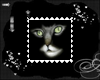 Cat Stamp 1