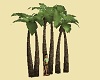 Palm Tree V3