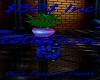 $BD$ Blue Passion Plant