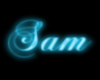 Sam Rave Neon Sign