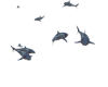 Sharks