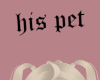 his pet