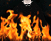 &acirc;�� T-Shirt Black