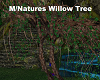 M/Natures Willow Tree