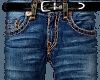 Pants -Western Jeans