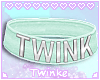 Twink Collar | Mint