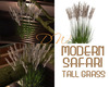 MODERN SAFARI TALL GRASS