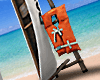 DV CANOE II