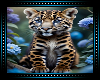 🐆 Leopard Baby BG