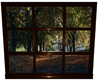Autumn Window One