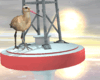 Float Sea Buoy