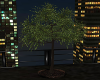 Downtown Loft Tree