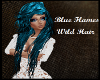 Blue Flames Wild Hair
