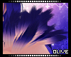 :0: Vivid Shldr. Tufts