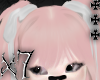 hair + bangs ★彡