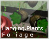 8:Hanging.Plants