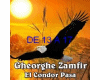  El Condor Pasa - (3)