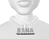 Sana custom