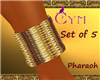 Cym Pharaoh Bracelets