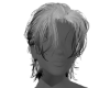 Ashes Rei