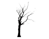Tree 102