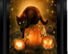 Halloween Cat/Pumpkins
