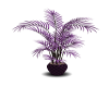 Purple Floor Plant