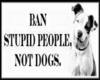 ~ban the stupidity~