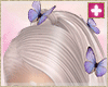 spring purple butterfly
