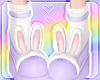 🌙 Bunny Shoes Lilac