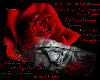Red Rose~